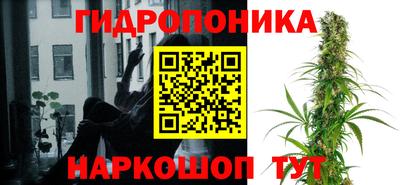 синтетический гашиш Камышлов