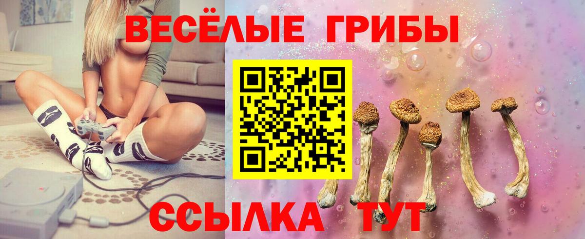 Ликино-Дулёво  Псилоцибиновые грибы Psilocybine cubensis  Вход с VPN  Галлюциногенные грибы прущие грибы 